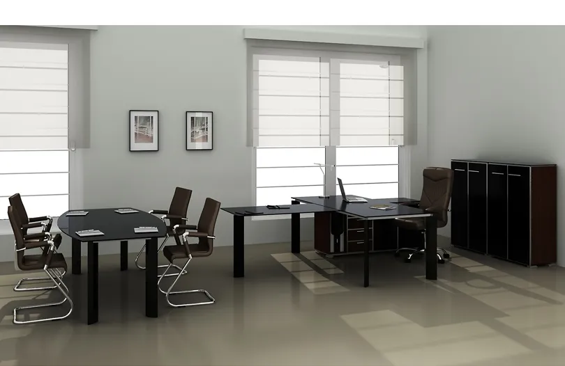 Стеклянный кабинет для руководителя LineGlass - фото 4